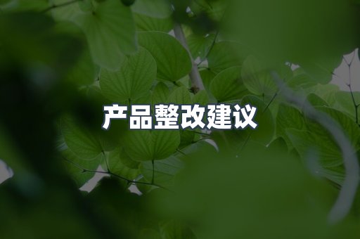 产品整改建议
