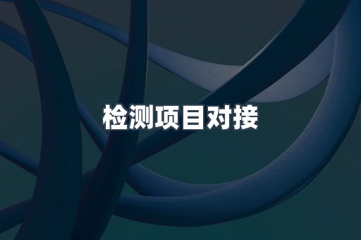 检测项目对接